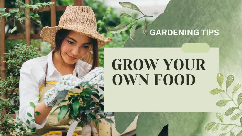 grow your own food